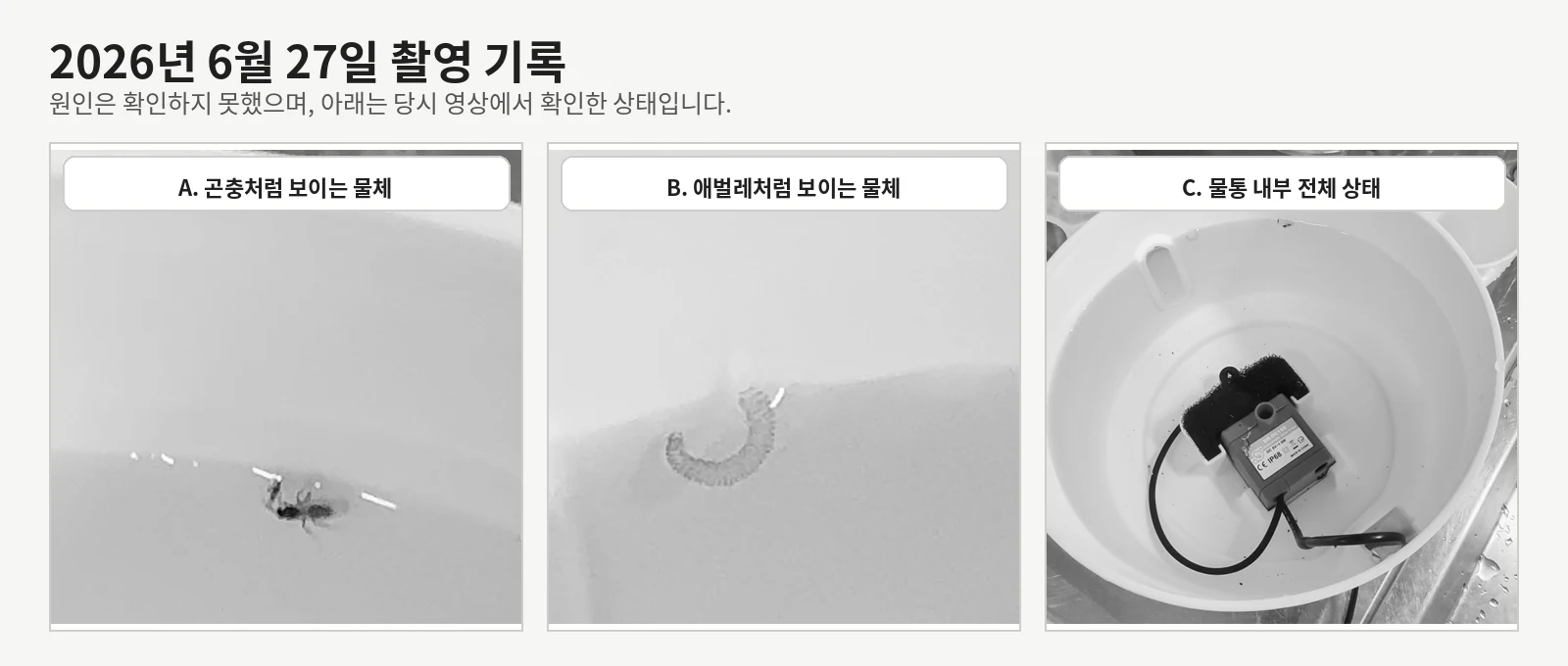 2026년 6월 27일 급수기에서 확인한 곤충처럼 보이는 물체와 애벌레처럼 보이는 물체, 물통 내부 상태
