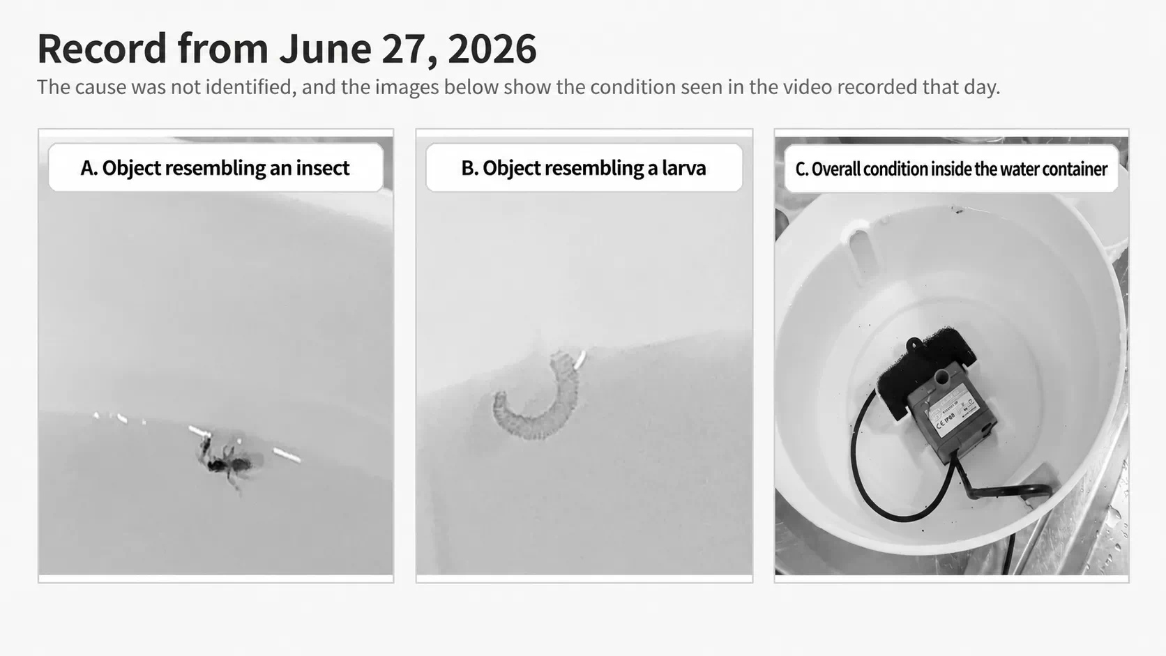 Insect-like and larva-like objects and the inside of the fountain reservoir on June 27, 2026