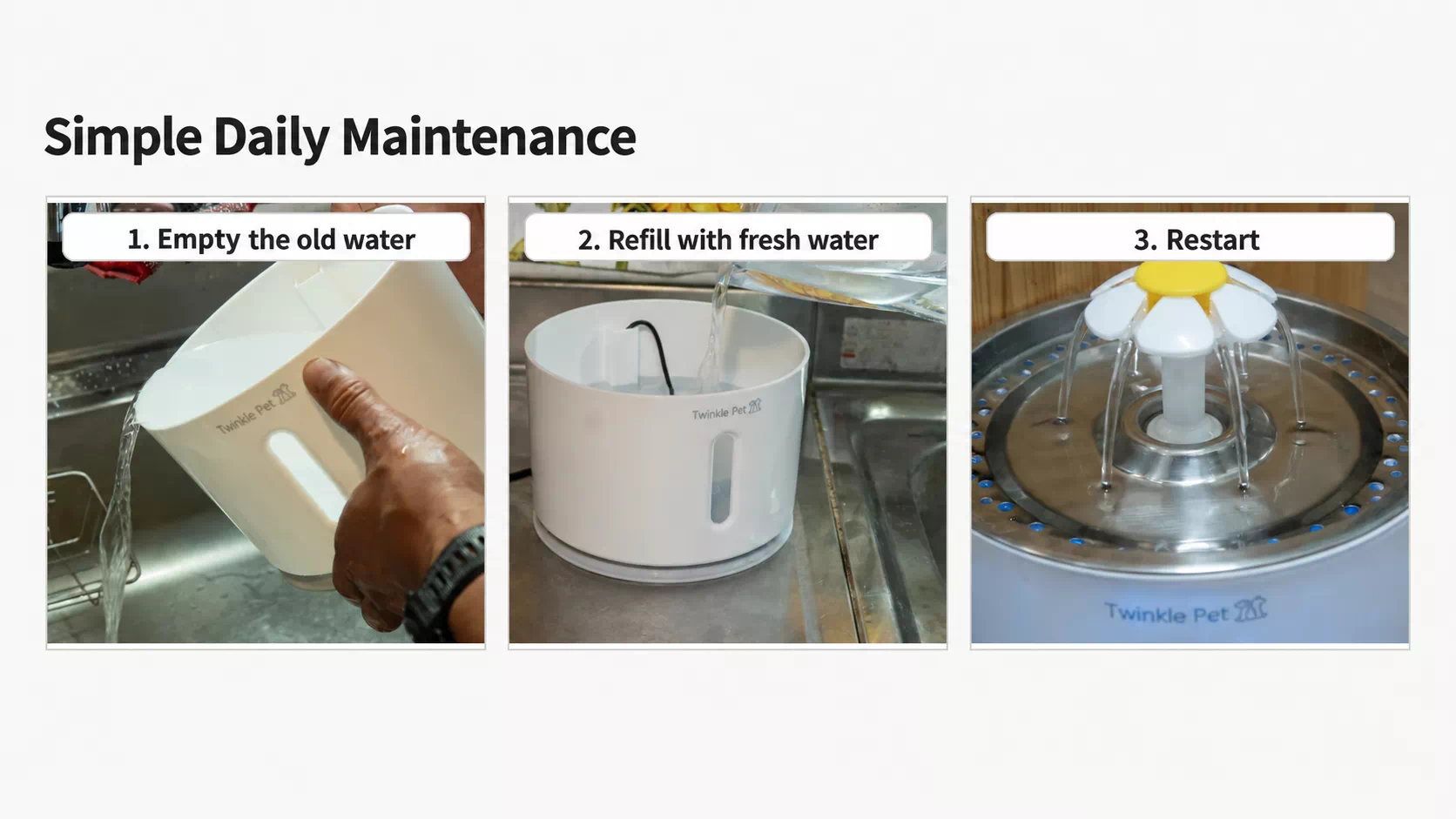 Emptying, refilling, and restarting the cat water fountain during daily maintenance
