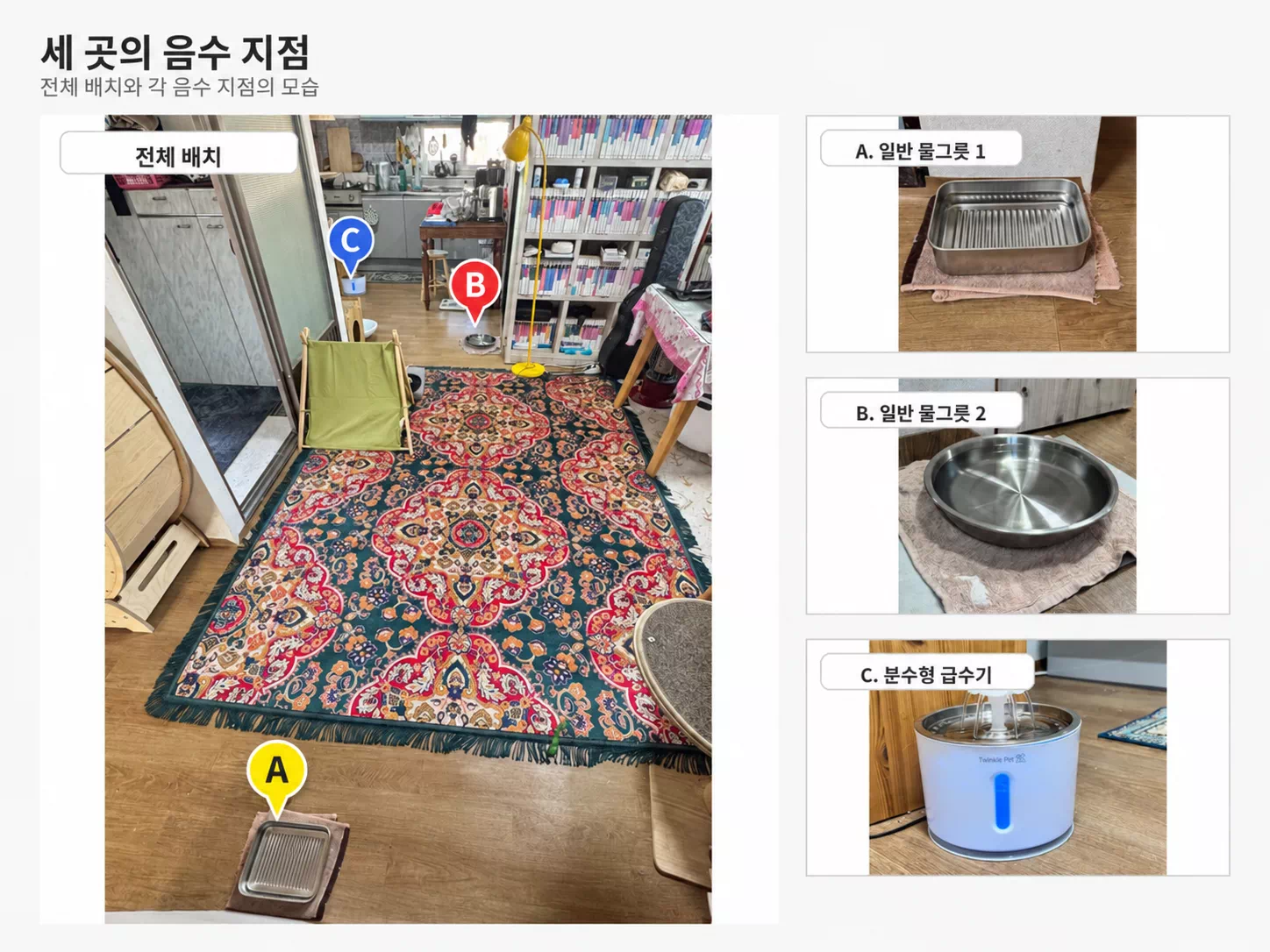 집 안에 배치한 세 곳의 반려동물 음수 지점 A, B, C