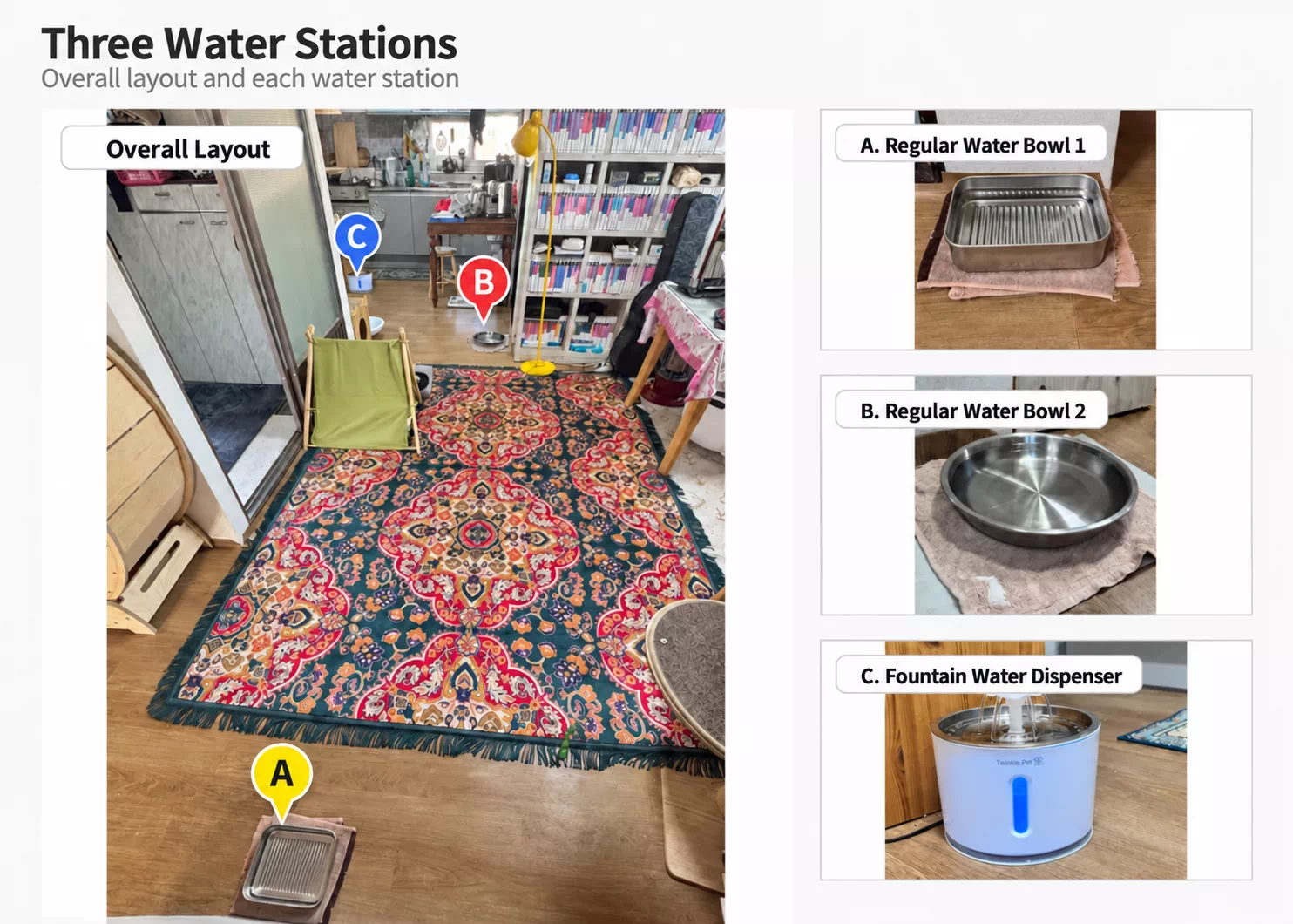 Three pet water stations placed in different parts of the home
